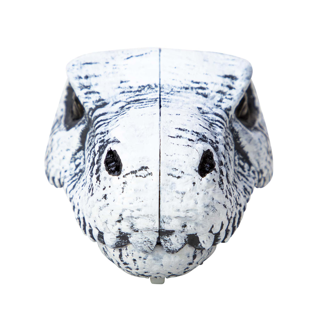 Chomp and Go Dino Skulls - Trex Front