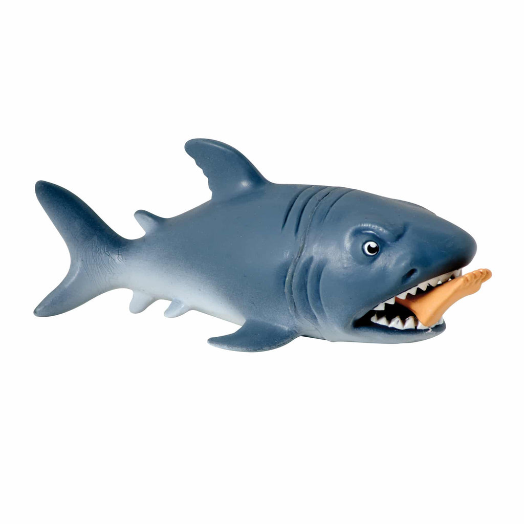 CHOMP-Chomp-web