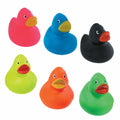 Rubber Ducks Multicolor